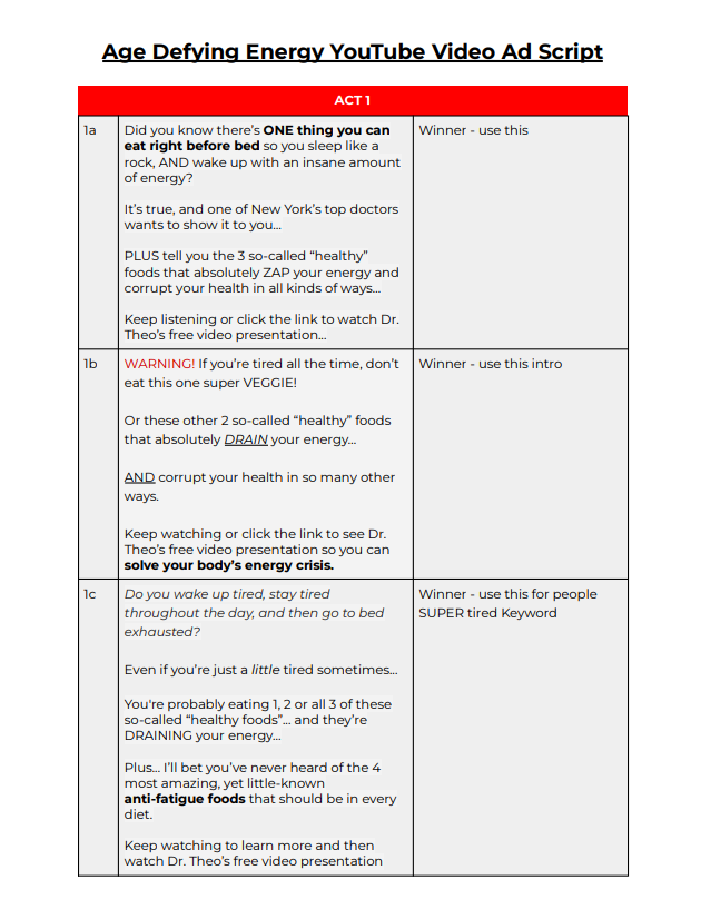 YouTube video ad script PDF